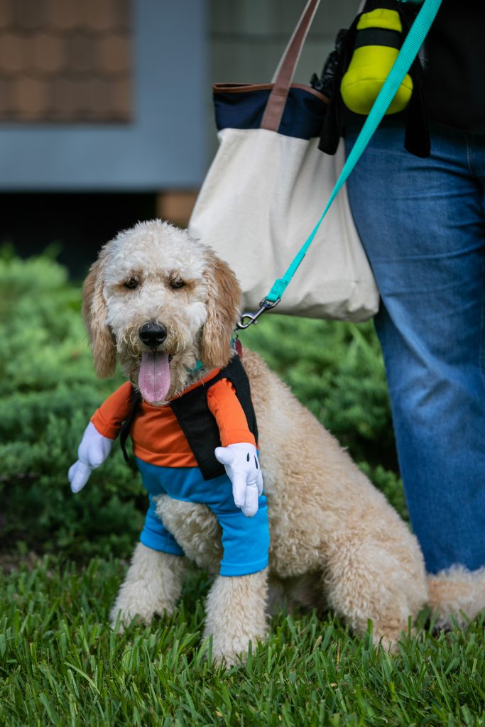 #DisneyMagicMoments: No Tricks, All Treats: Dogs Offer Tail-Wagging Look at Newest Disney Halloween Fashions